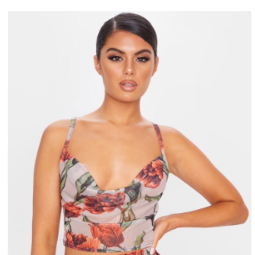 Multi Rose Print Mesh Cowl Neck Crop Top